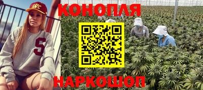 apvp Моздок