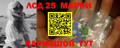 apvp Моздок