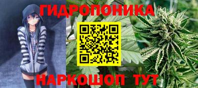 apvp Моздок