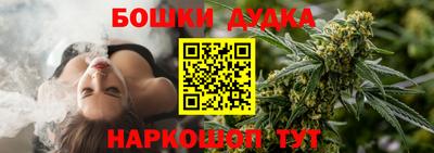 apvp Моздок