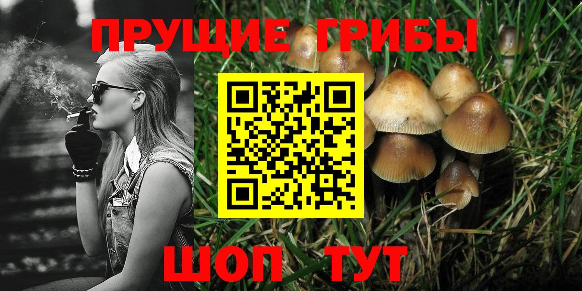 Псилоцибиновые грибы GOLDEN TEACHER Заинск